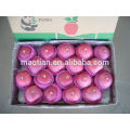 Fruit de pomme frais entièrement blush grandes tailles